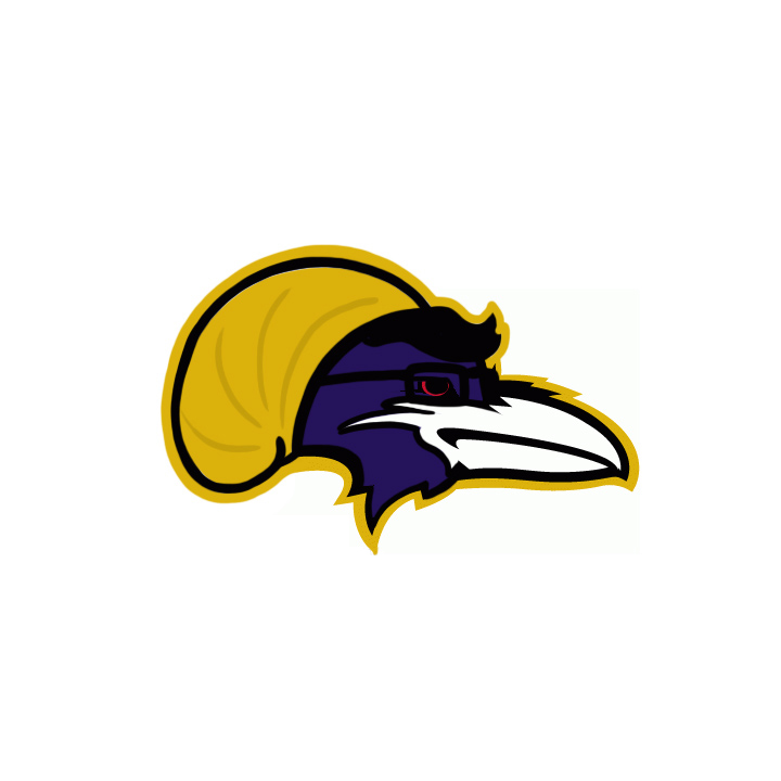 Baltimore Ravens Hipsters Logo DIY iron on transfer (heat transfer)